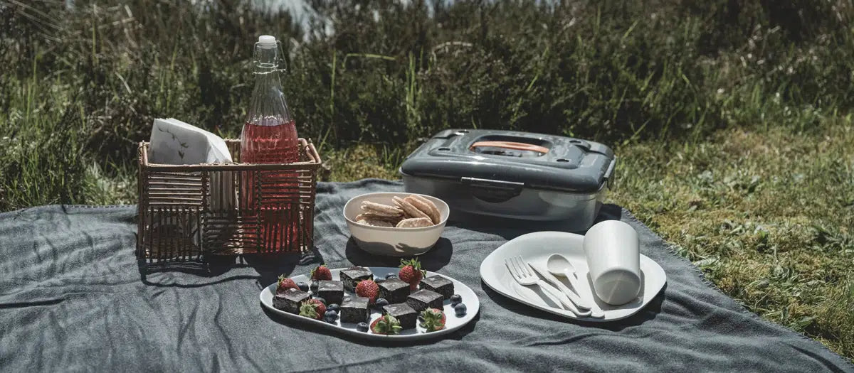 Easy Camp Picnic Box M, a portable tableware set with plates, cups, and utensils, ideal for outdoor picnics and gatherings.