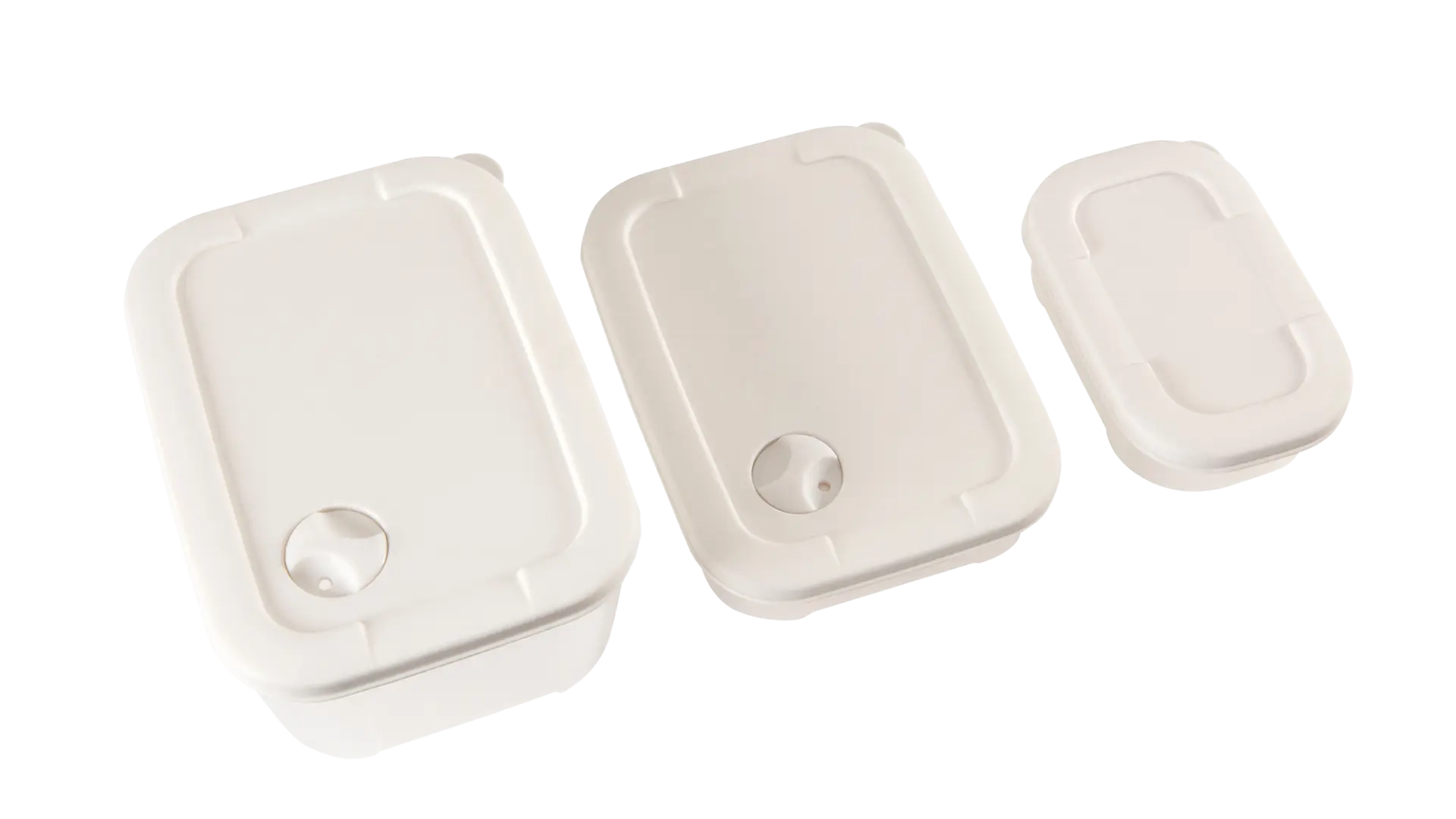 Easy Camp Picnic Box L, a portable tableware set with plates, cups, and utensils for outdoor picnics, shown in a compact carrying case.
